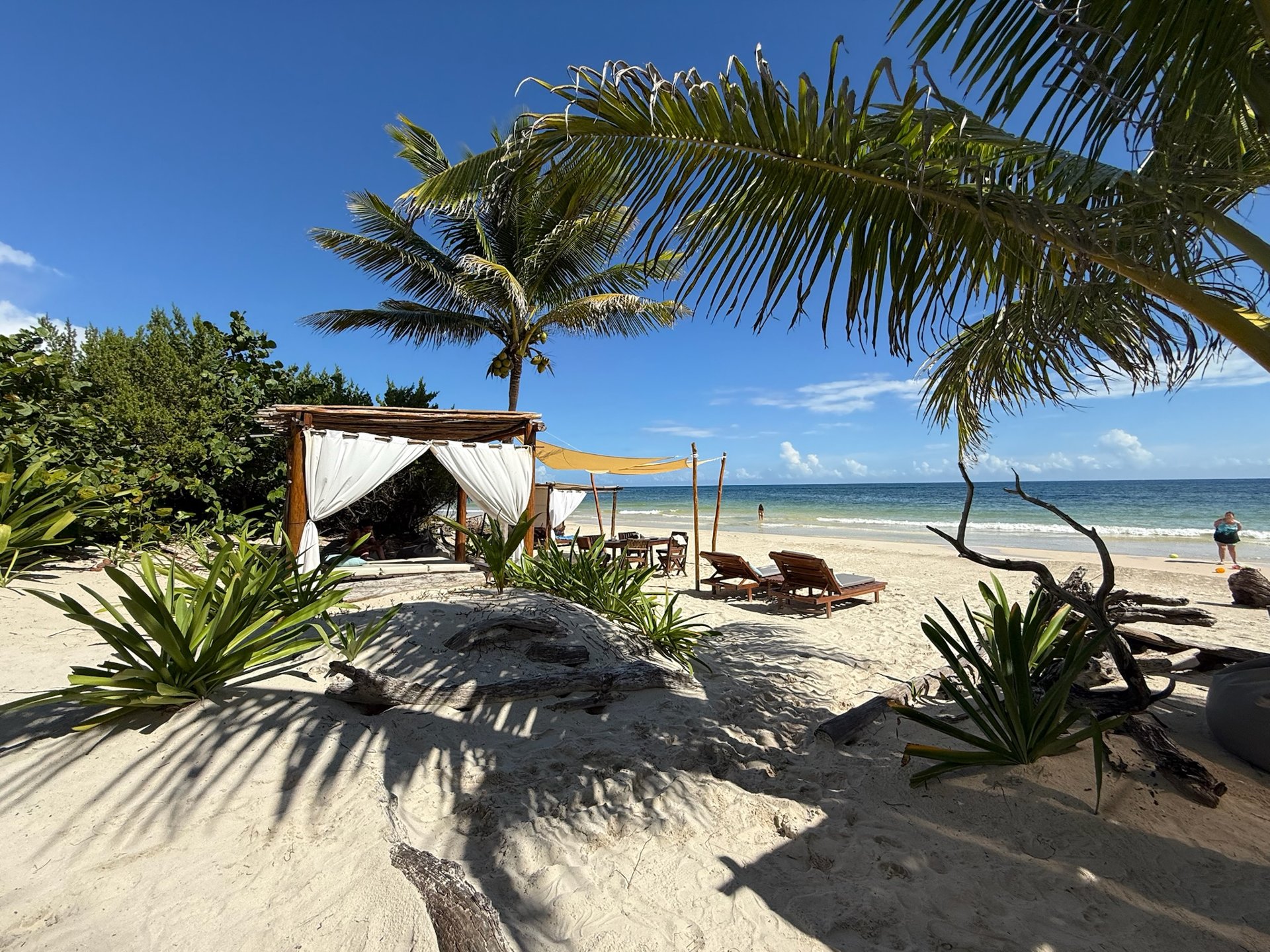 Palm Beach & Jungle at Hayhu