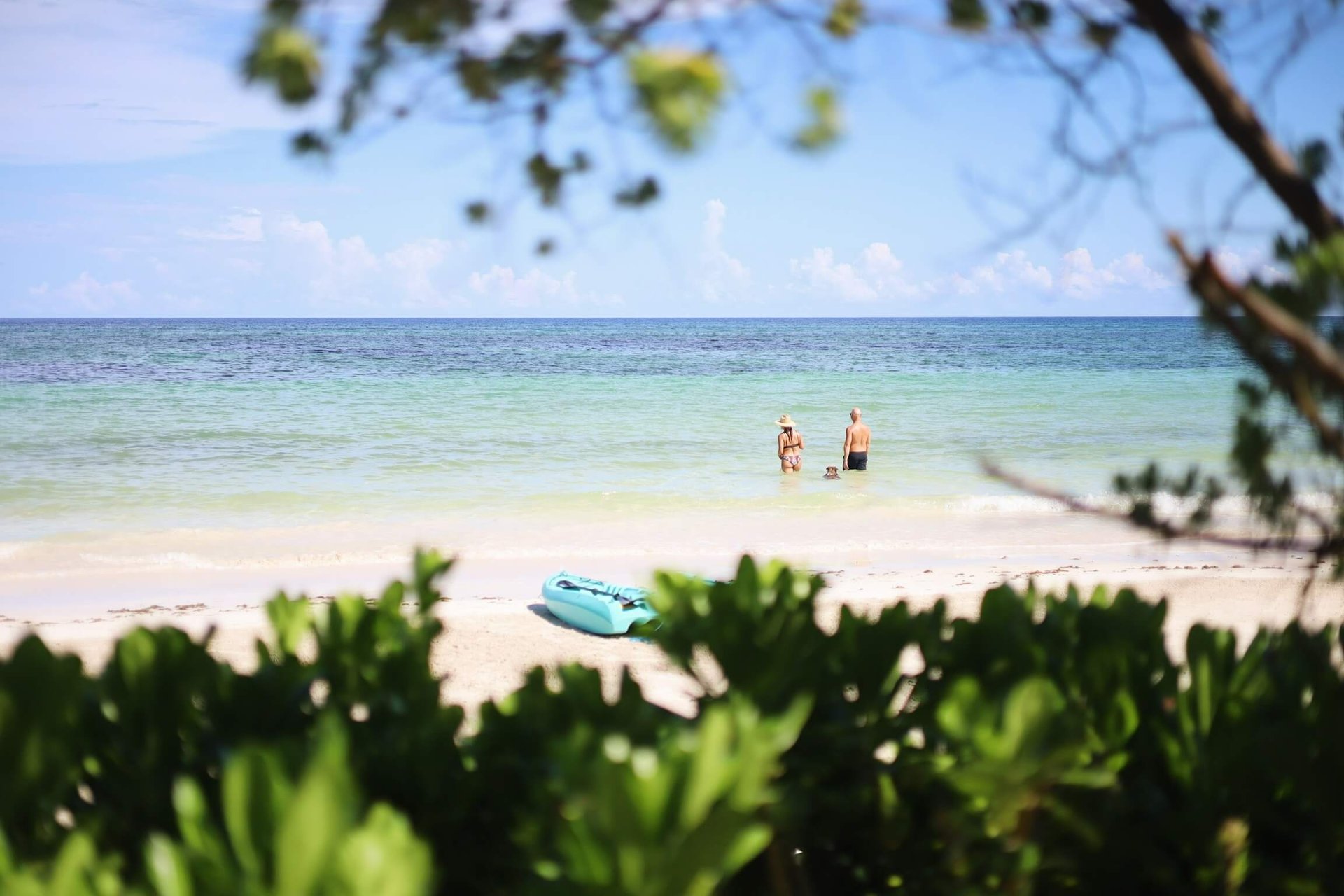 The Caribbean sea seen through beach vegetation at Hayhu, Mahahual